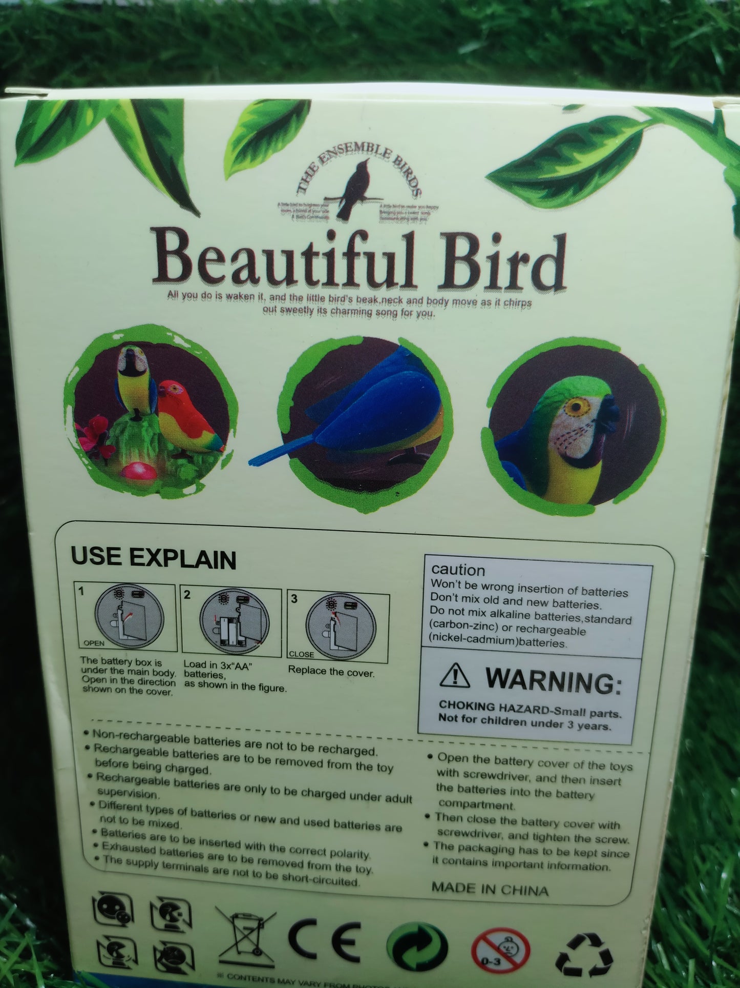 Musical singing birds