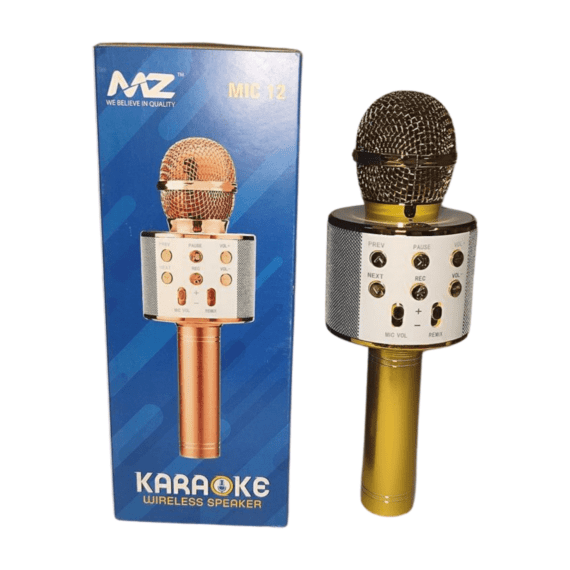 MZ MIC 12 KARAOKE SPEAKER