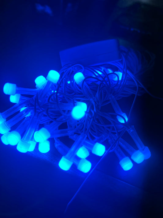 Festive LED String All Colours Light