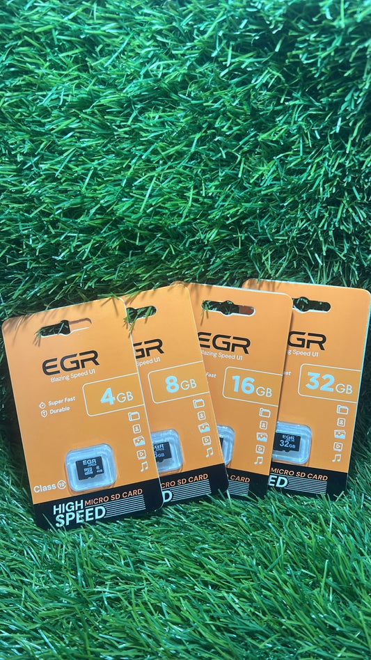 EGR 4/8/16/32 GB Memory Card