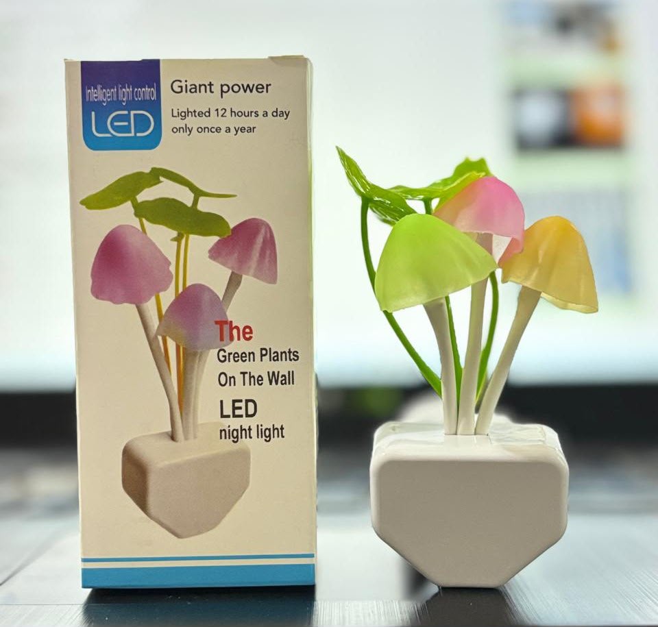 LED Night Lamp