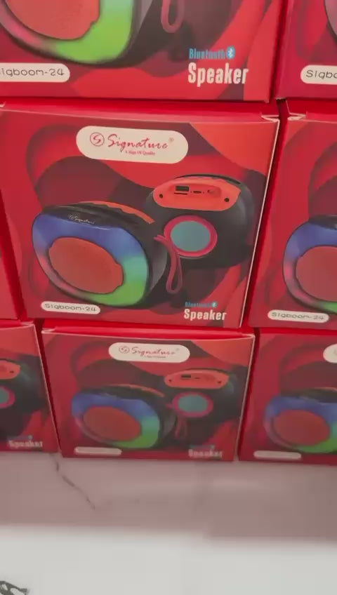 SIGNATURE SIGBOOM 24 Speaker