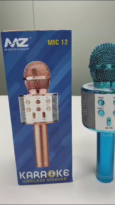 MZ MIC 12 KARAOKE SPEAKER